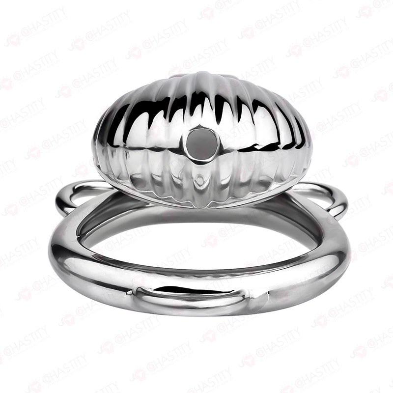 Cage Of Shame Chastity (Shell)