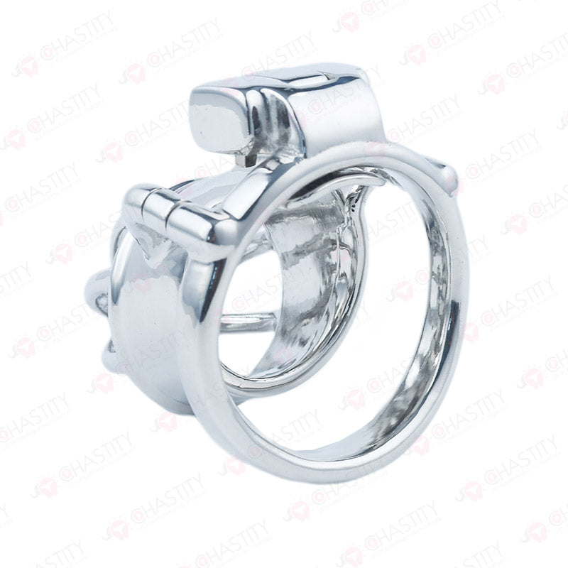 Custom Steel Chastity Cage