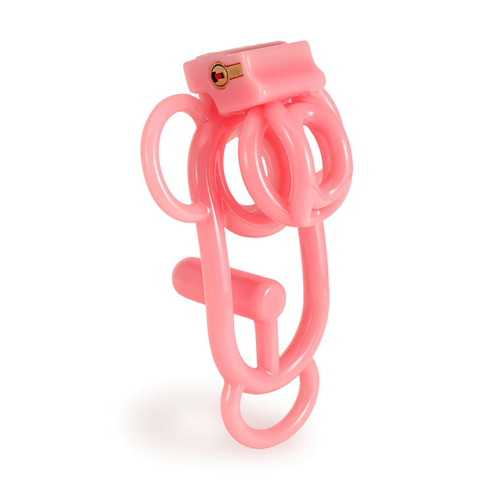 Female Chastity Cage