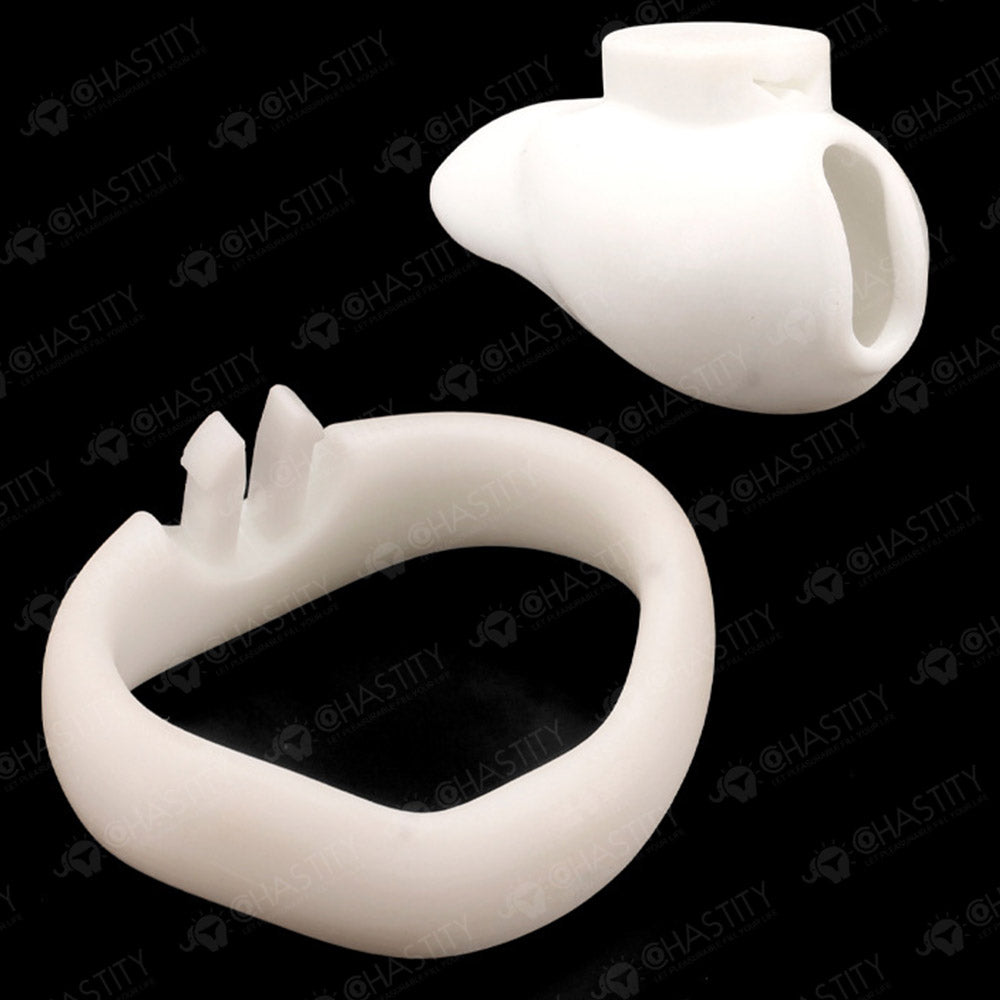 Holy Trainer V6 ( Metal-Free )