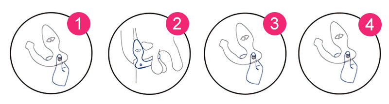 Tail Butt Plug & Bell Butt Plug