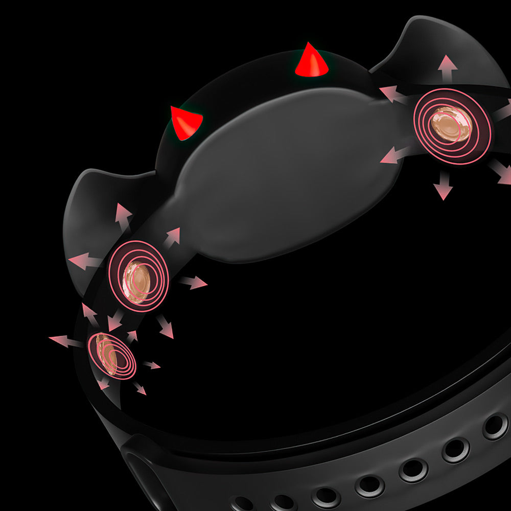 Electric Shock Collar