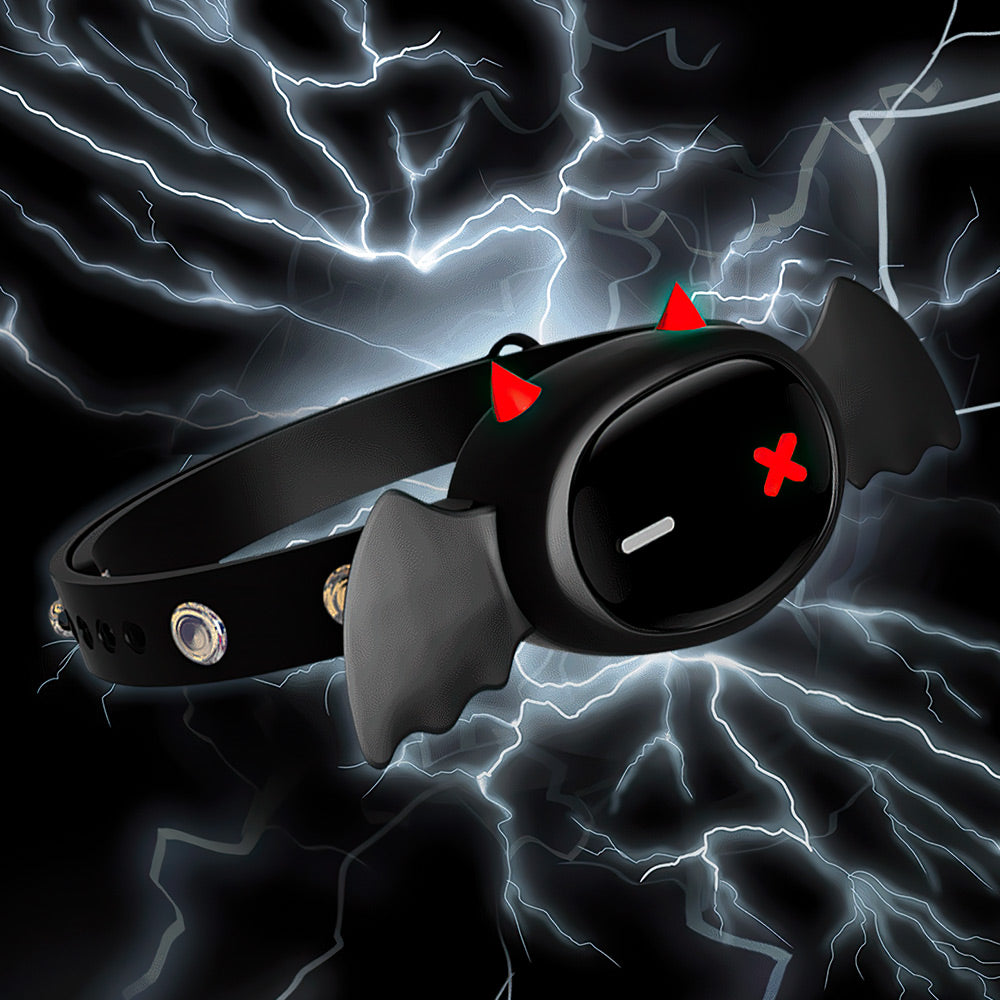 Electric Shock Collar