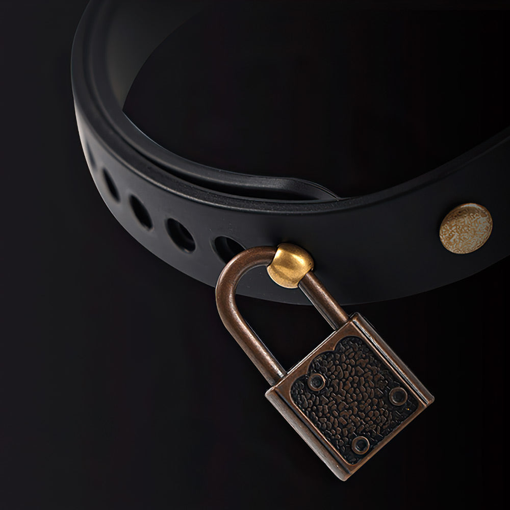 Electric Shock Collar