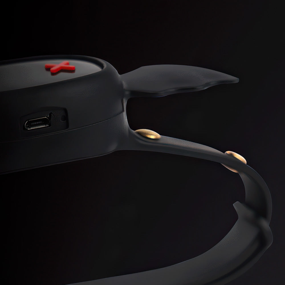 Electric Shock Collar