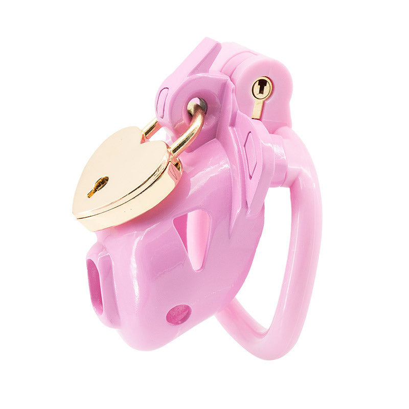 No Escape Chastity Cage
