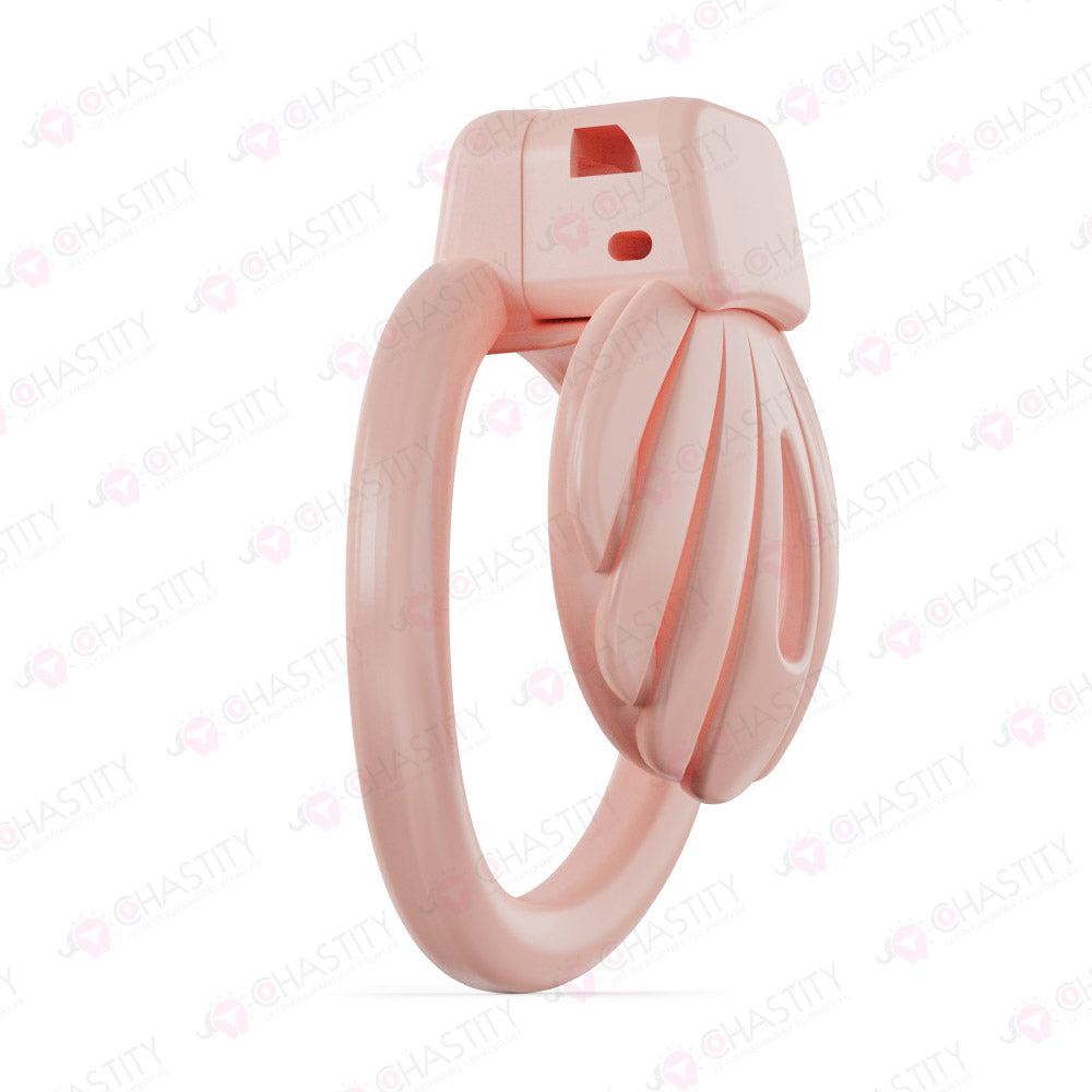 Ocean Shell Super Small Chastity Cage