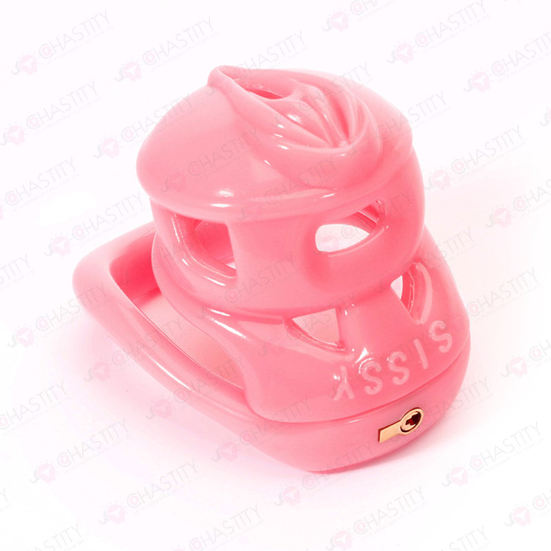 Pink Vulva Chastity Cage