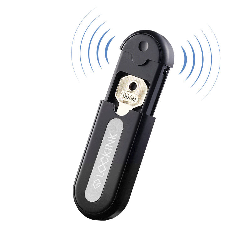 LOCKINK Remote AI Chastity Key Box