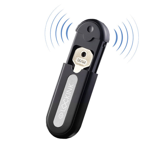 LOCKINK Remote AI Chastity Key Box