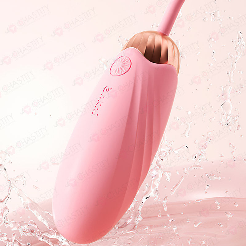 Remote Control Vibrating Egg