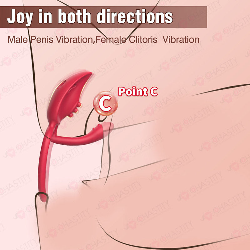Remote Vibrating Thong (APP Control Or Remote Control)