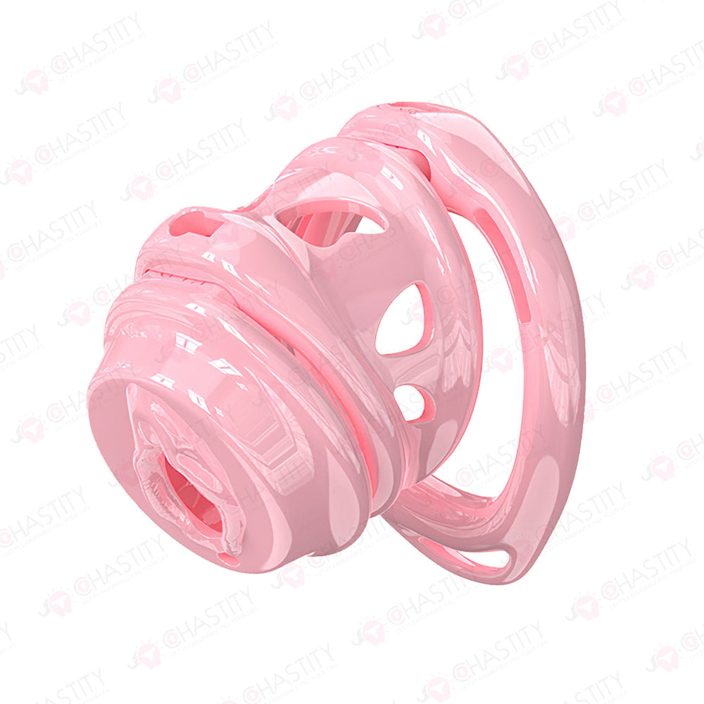 Removable Head Free-assembly Chastity Cage