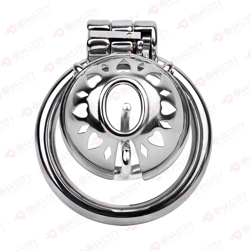 Small Stainless Steel PA Cock Cage