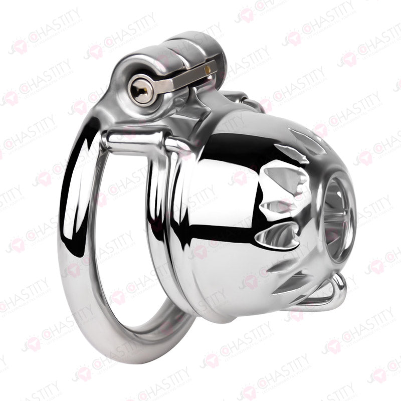 Small Stainless Steel PA Cock Cage