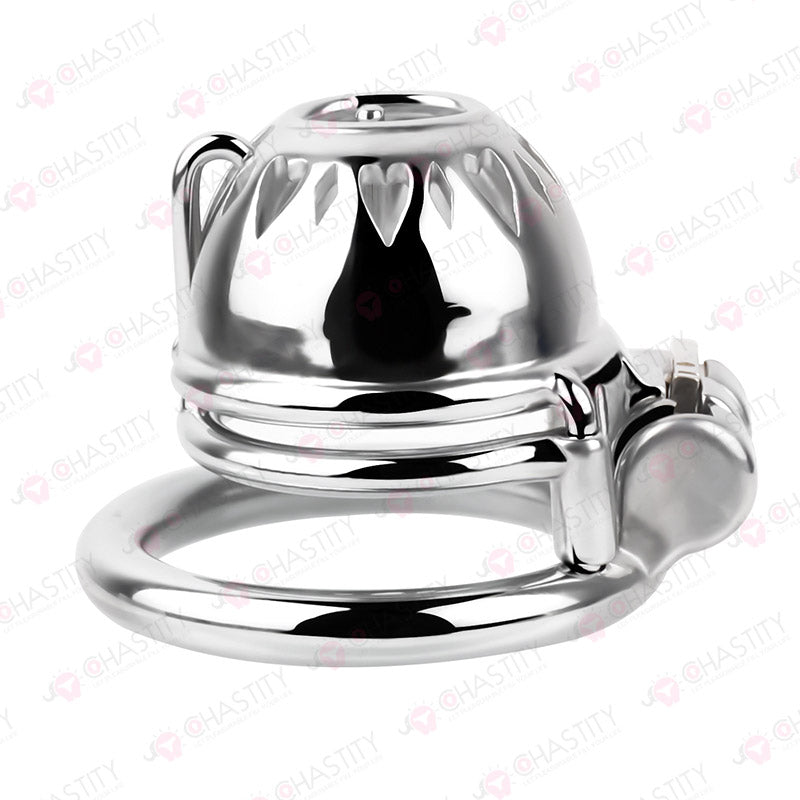 Small Stainless Steel PA Cock Cage