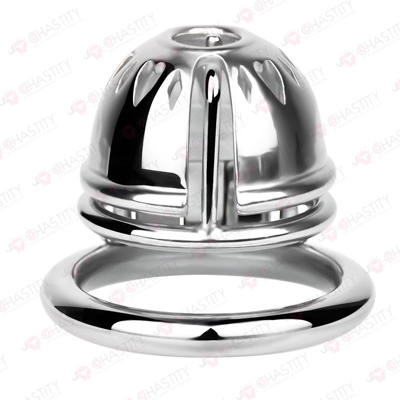 Small Stainless Steel PA Cock Cage
