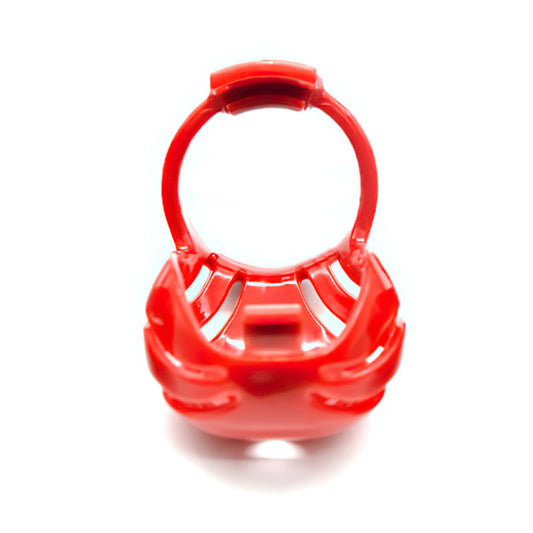 Spare replacement ring for "Sissy In Chastity Cage"