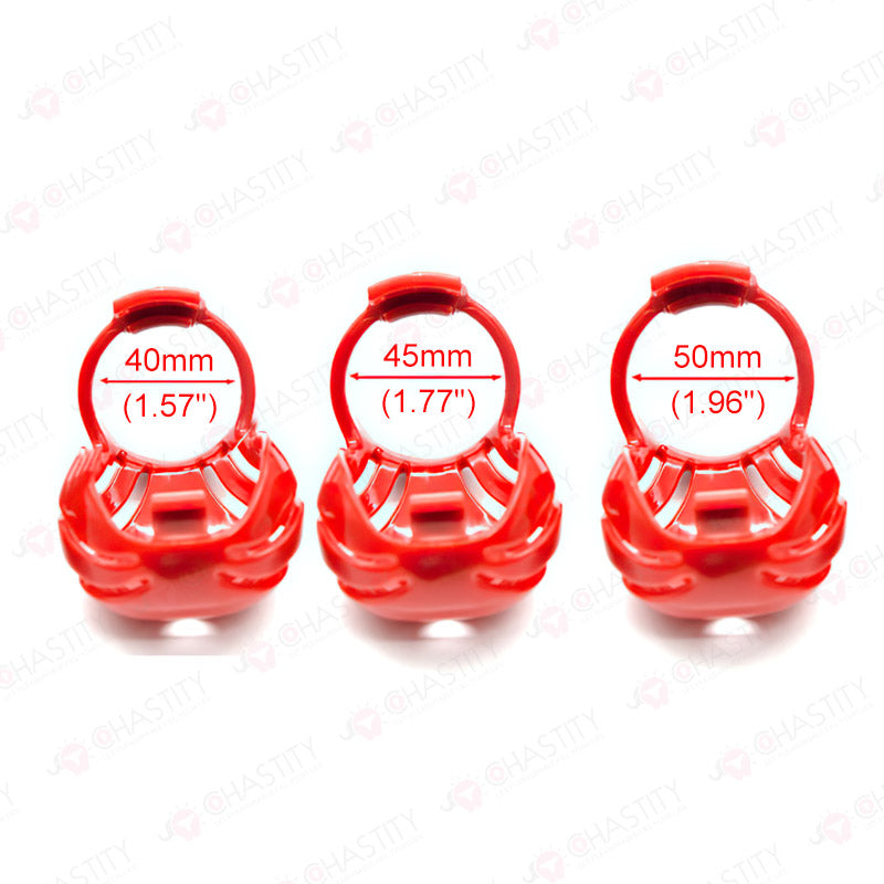 Spare replacement ring for "Sissy In Chastity Cage"