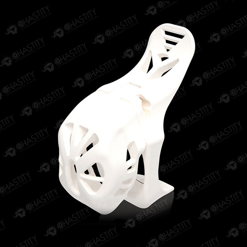 Swallowtail Cock Locker