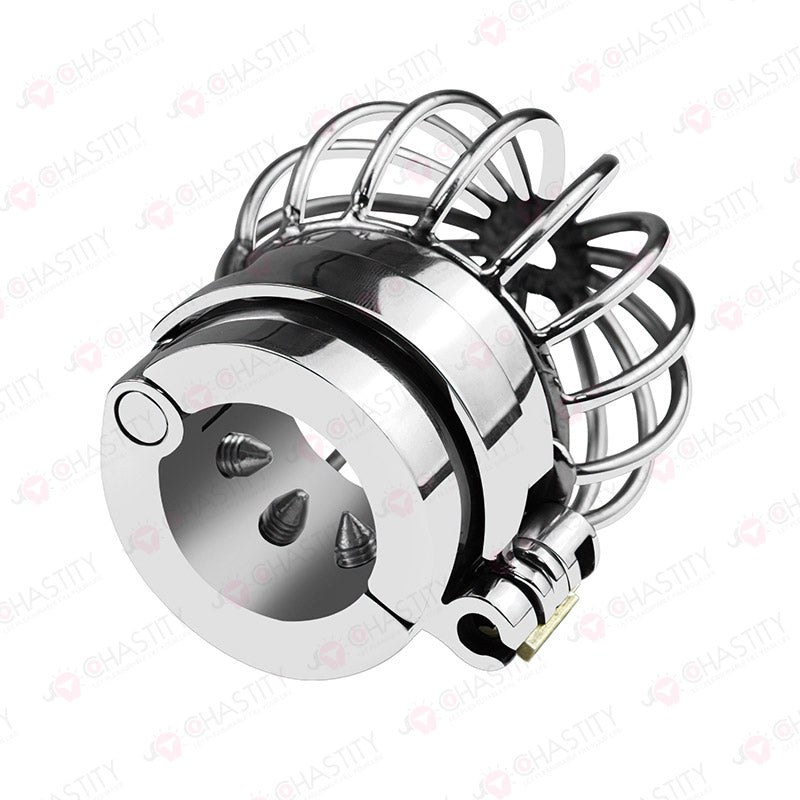 Testicle Cage & Penis Cage (With Spikes)