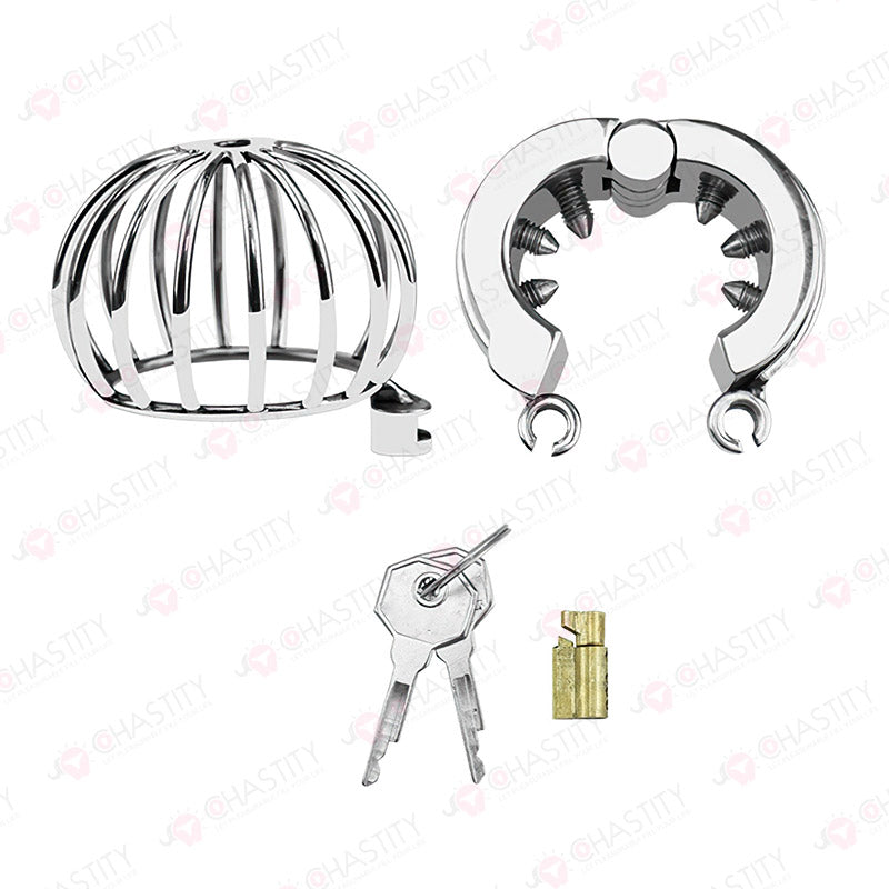 Testicle Cage & Penis Cage (With Spikes)