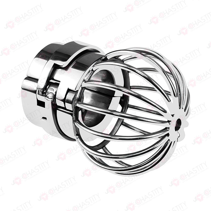 Testicle Cage & Penis Cage (With Spikes)