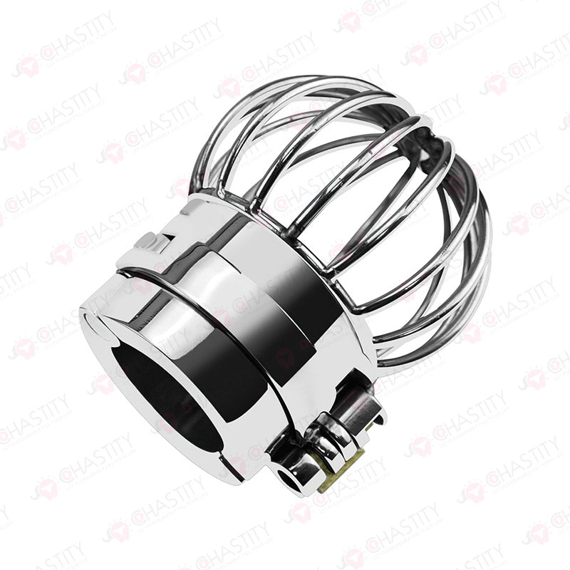 Testicle Cage & Penis Cage (With Spikes)