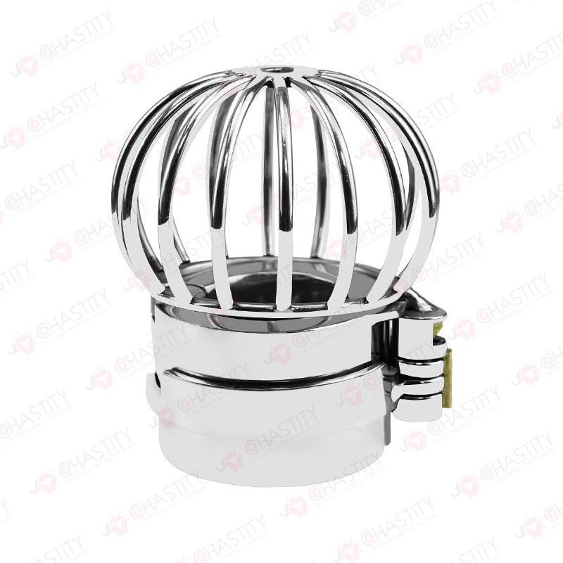 Testicle Cage & Penis Cage (With Spikes)