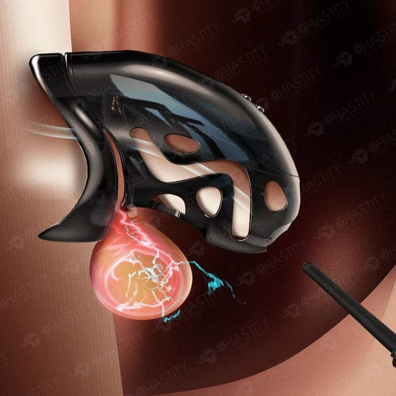 Remote Control Electric Shock Chastity Cage