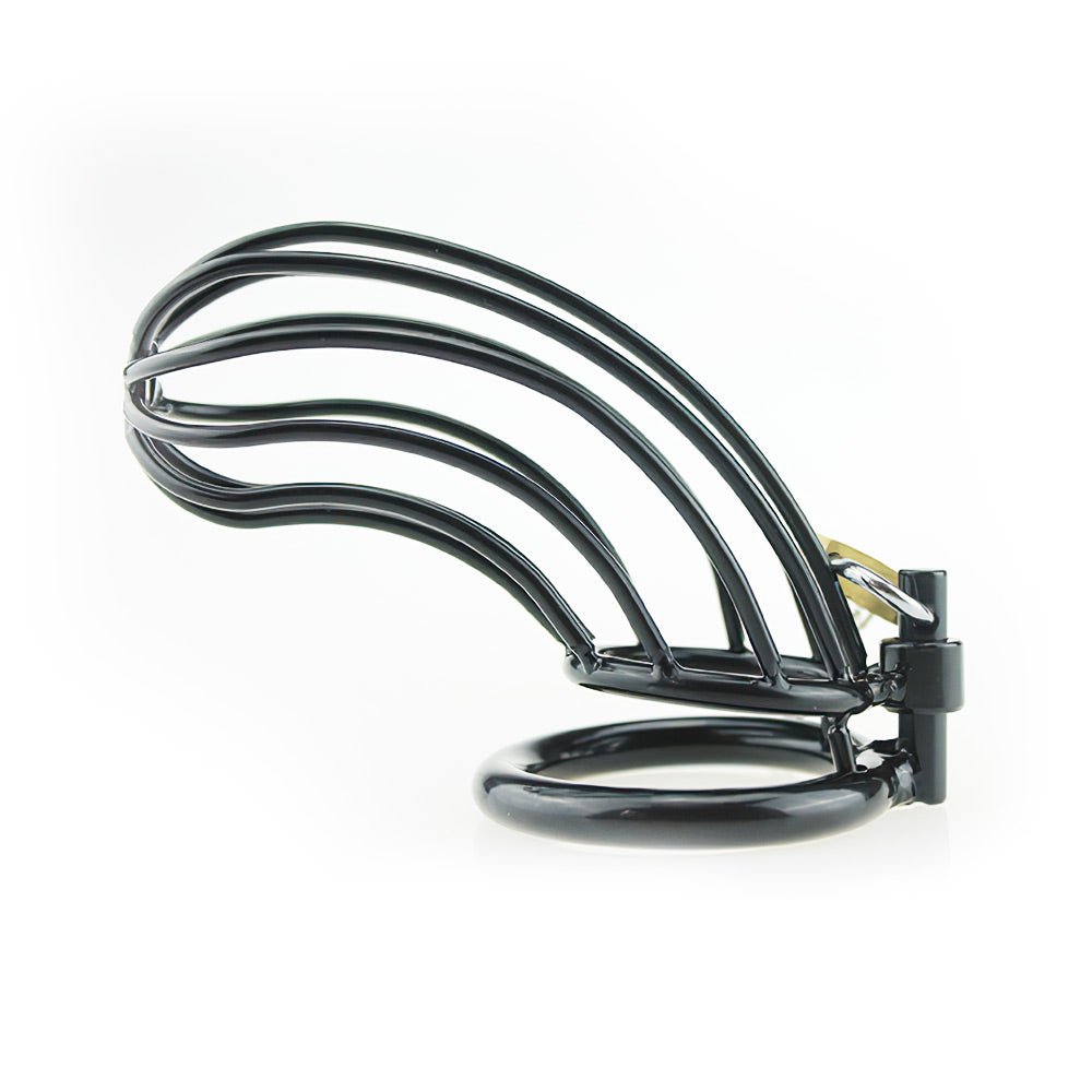 black metal chastity cage