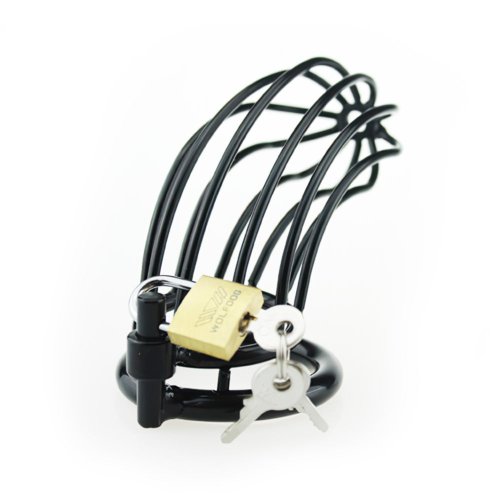 black metal chastity cage
