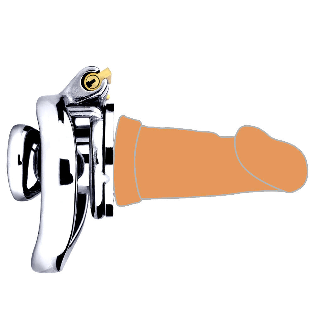 cock in chastity with dildo