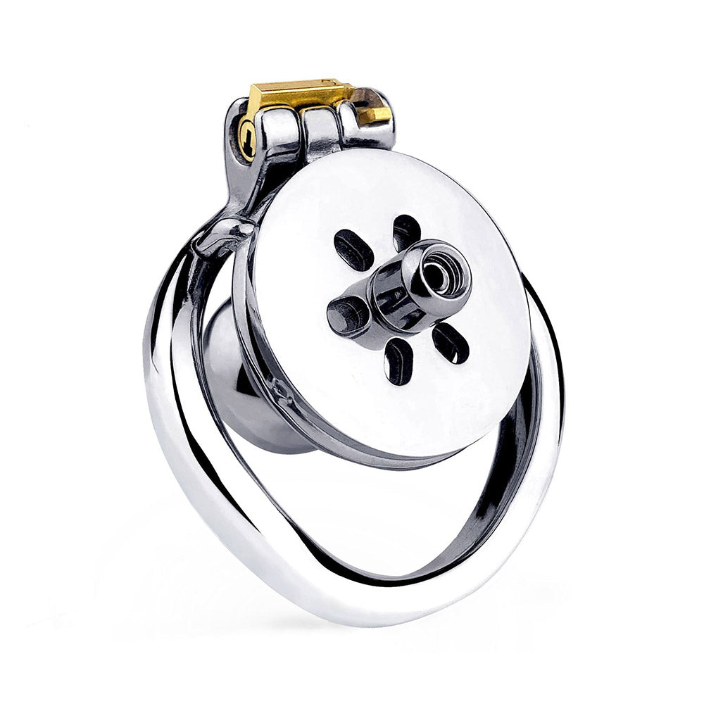 penis in chastity cage