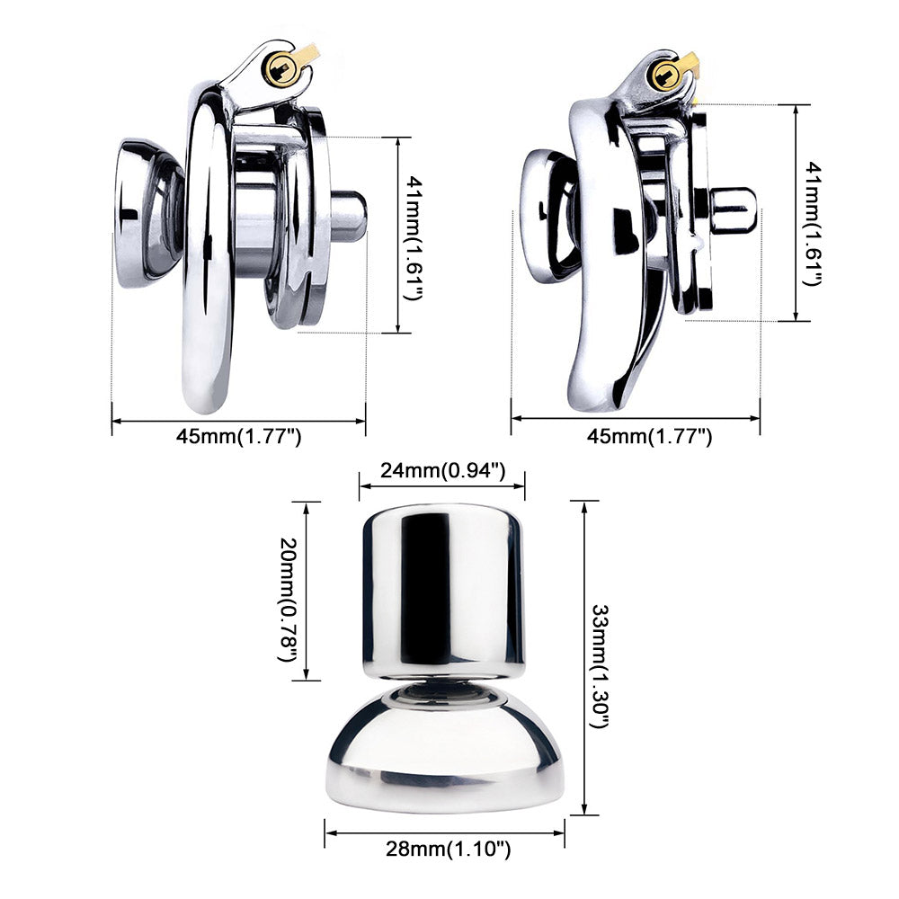 penis in chastity