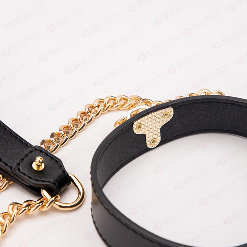 Leather BDSM Collar With Leash