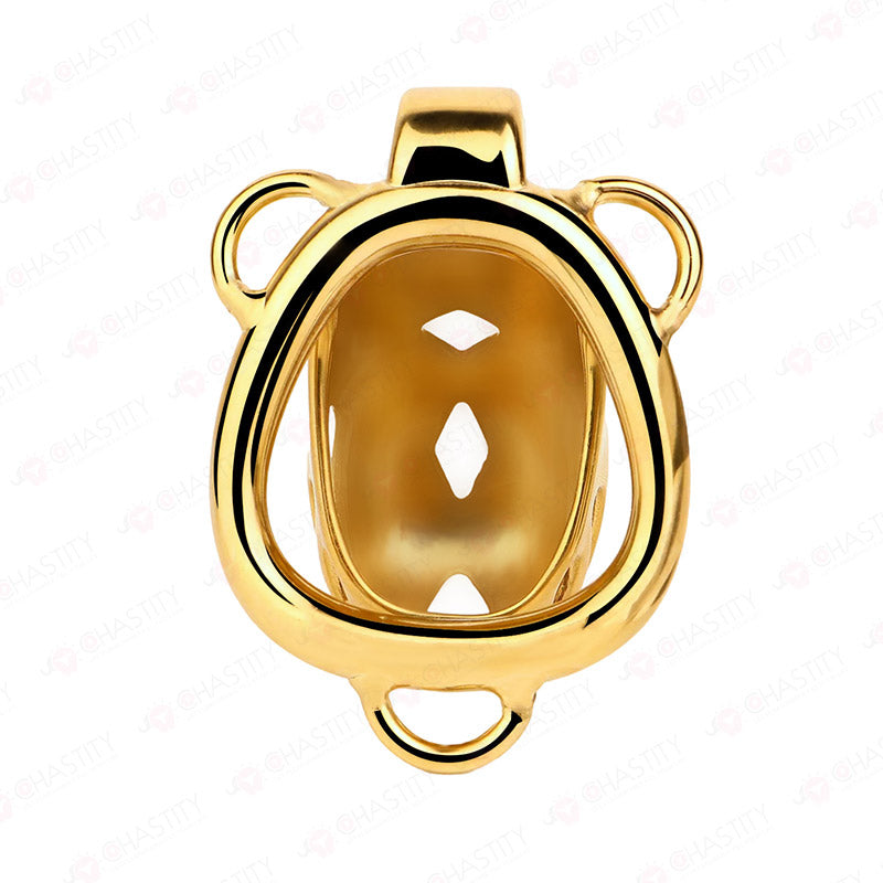Premium Chastity Cage With Strap