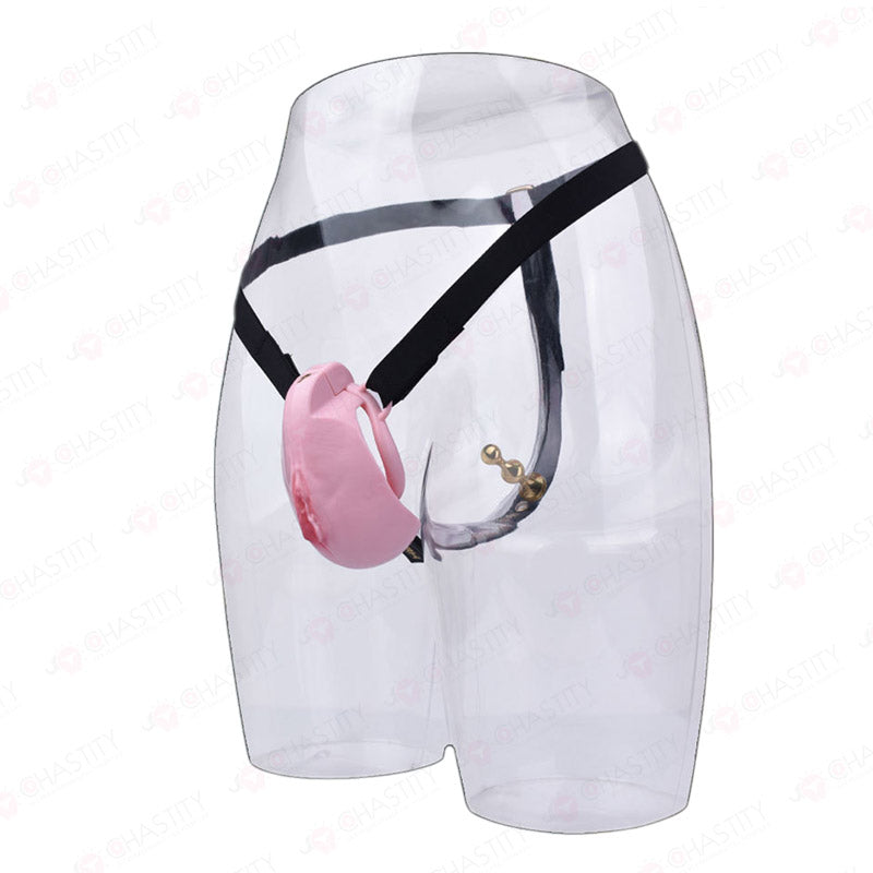 Pussy Cock Cage