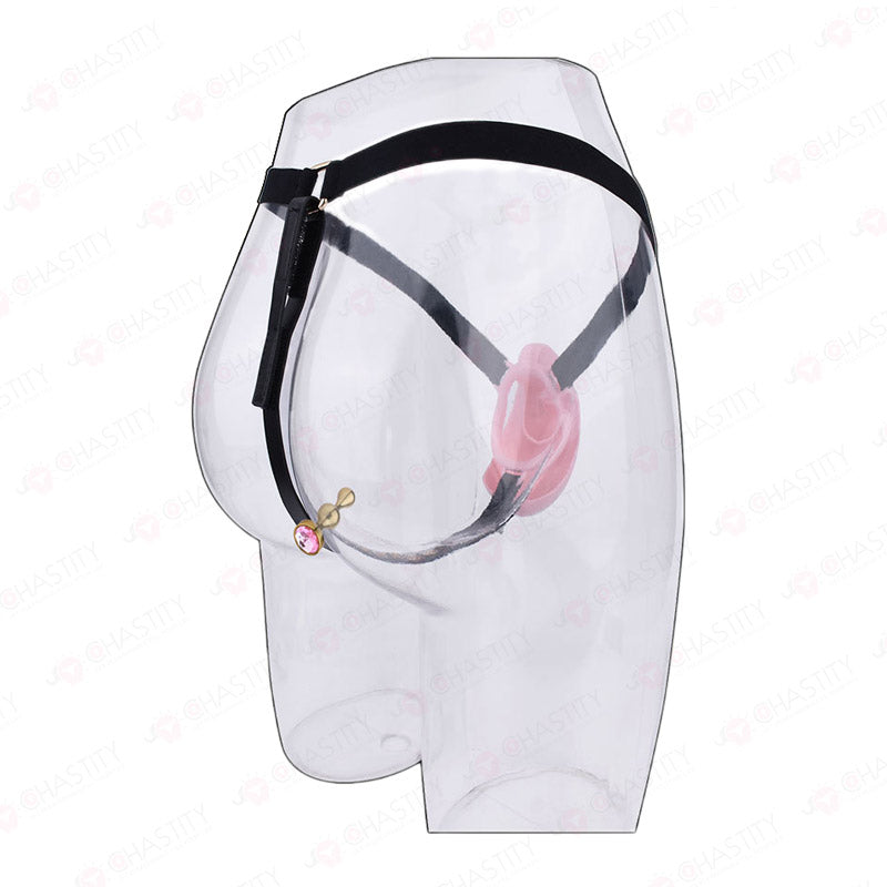 Pussy Cock Cage