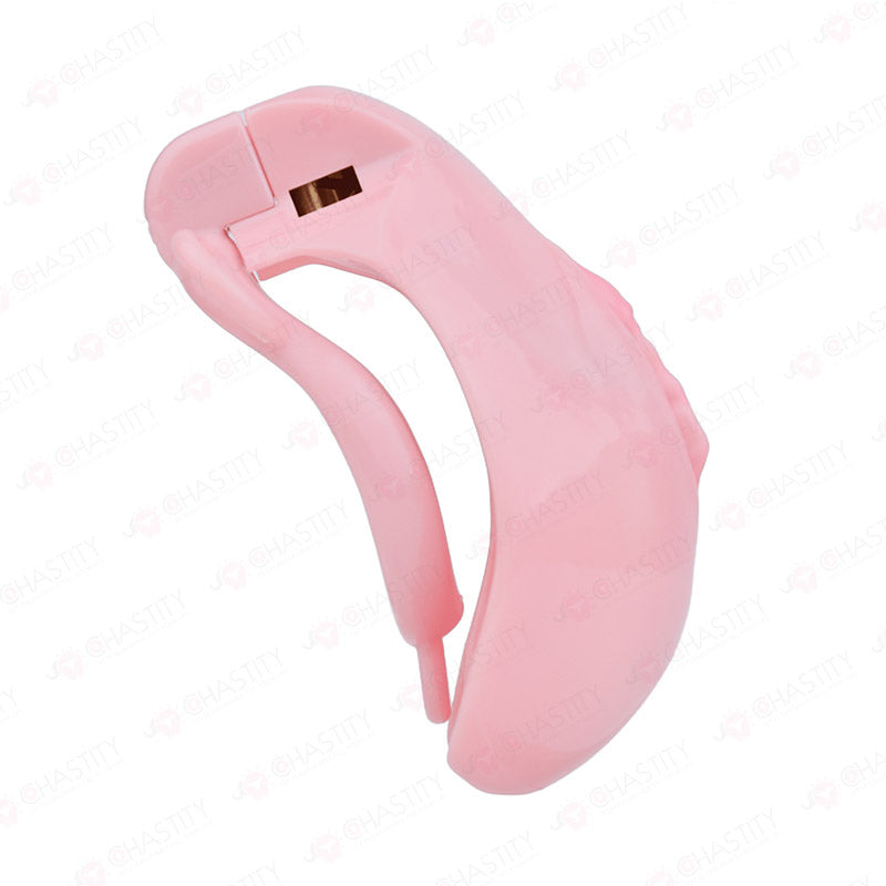 Pussy Cock Cage
