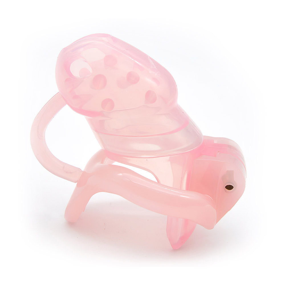 spiked cock cage