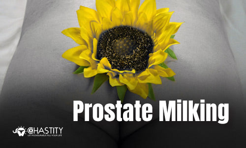The Ultimate Guide to Prostate Milking: Techniques, Benefits, and Precautions
