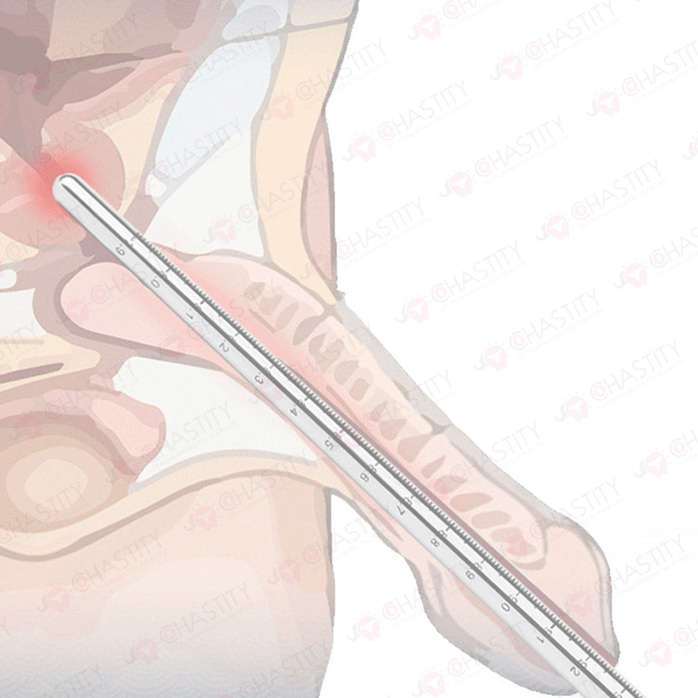 304 Stainless Steel Graduated Long Urethral Sound