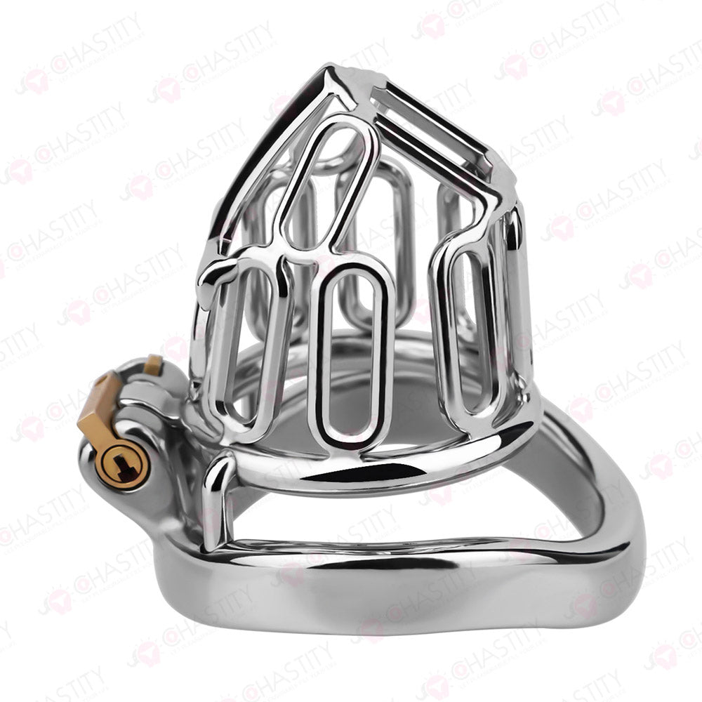 Ankh - Vow Of Chastity Believer