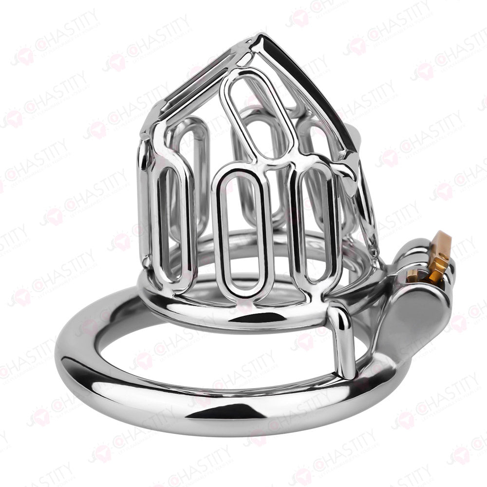 Ankh - Vow Of Chastity Believer