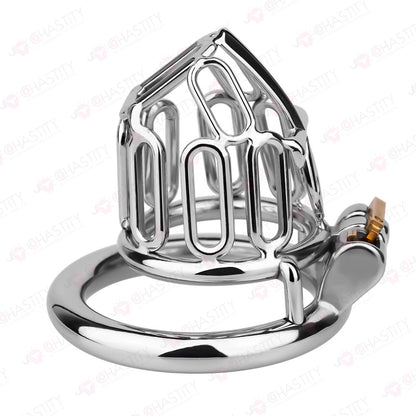 Ankh - Vow Of Chastity Believer