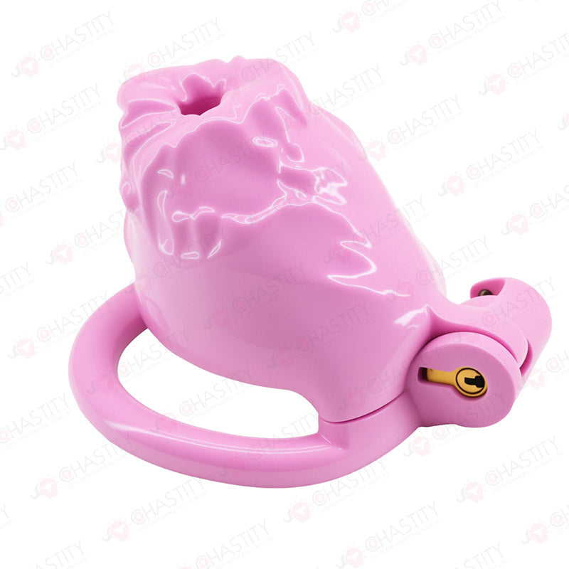 Anus-Shaped Chastity Cage for Chastity Humiliation