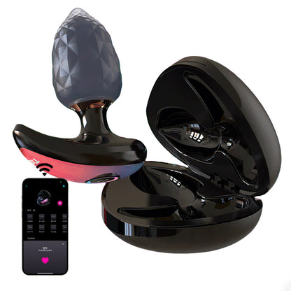 App Controlled Butt Plug (With Storage Compartment)