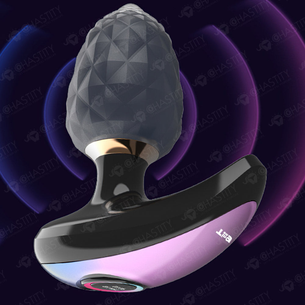 App Controlled Butt Plug (With Storage Compartment)
