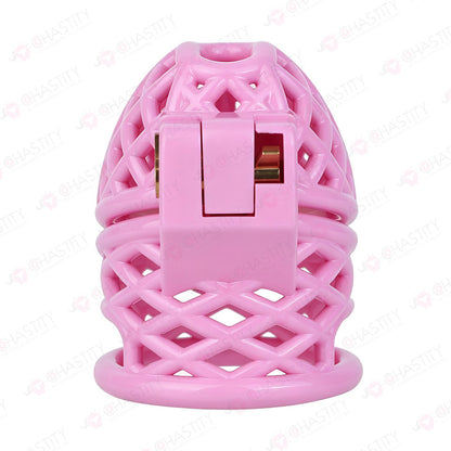 Bird Nest Headlock Chastity Cage